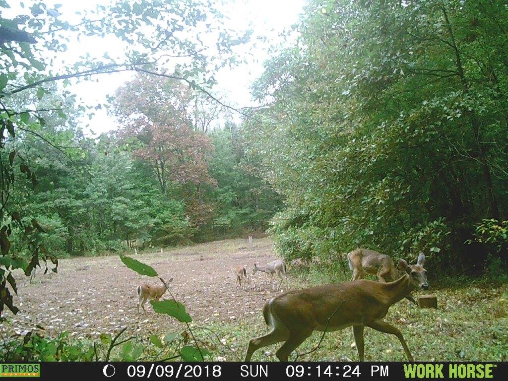 Image for 115 +/- AC・Eight Mile Lane・Greenville