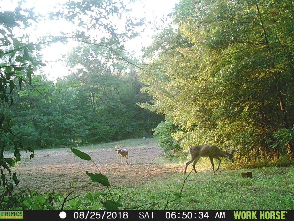 Image for 115 +/- AC・Eight Mile Lane・Greenville