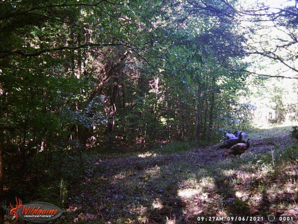 Image for 115 +/- AC・Eight Mile Lane・Greenville