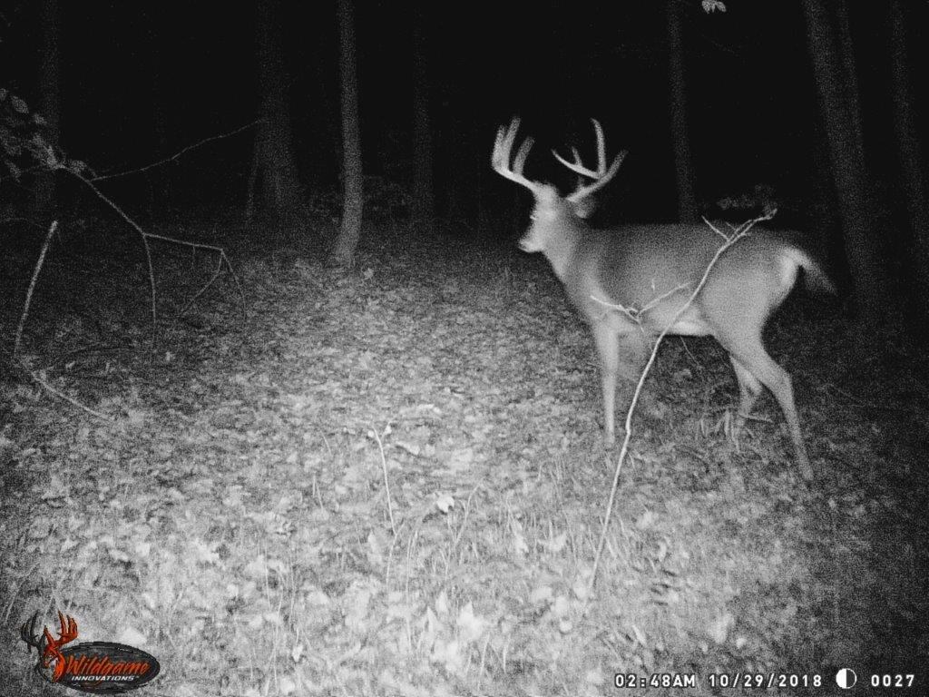 Image for 115 +/- AC・Eight Mile Lane・Greenville