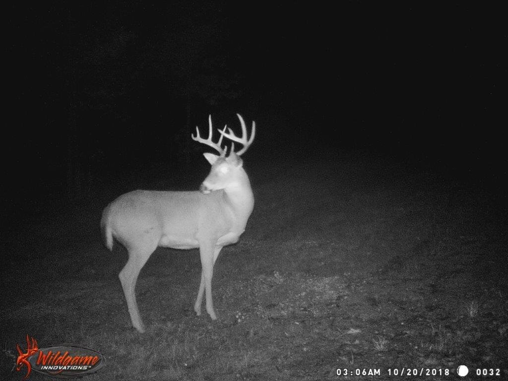 Image for 115 +/- AC・Eight Mile Lane・Greenville