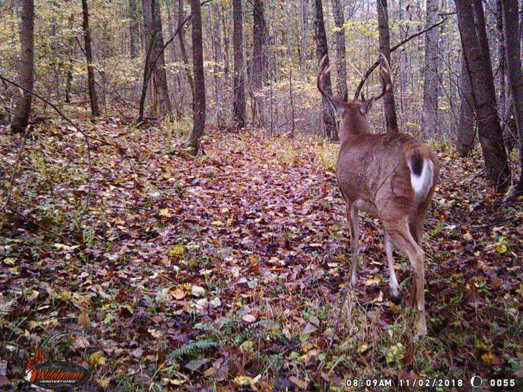 Image for 115 +/- AC・Eight Mile Lane・Greenville