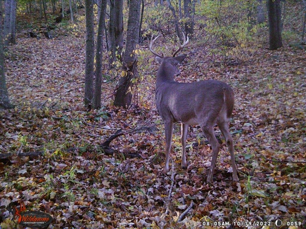 Image for 115 +/- AC・Eight Mile Lane・Greenville