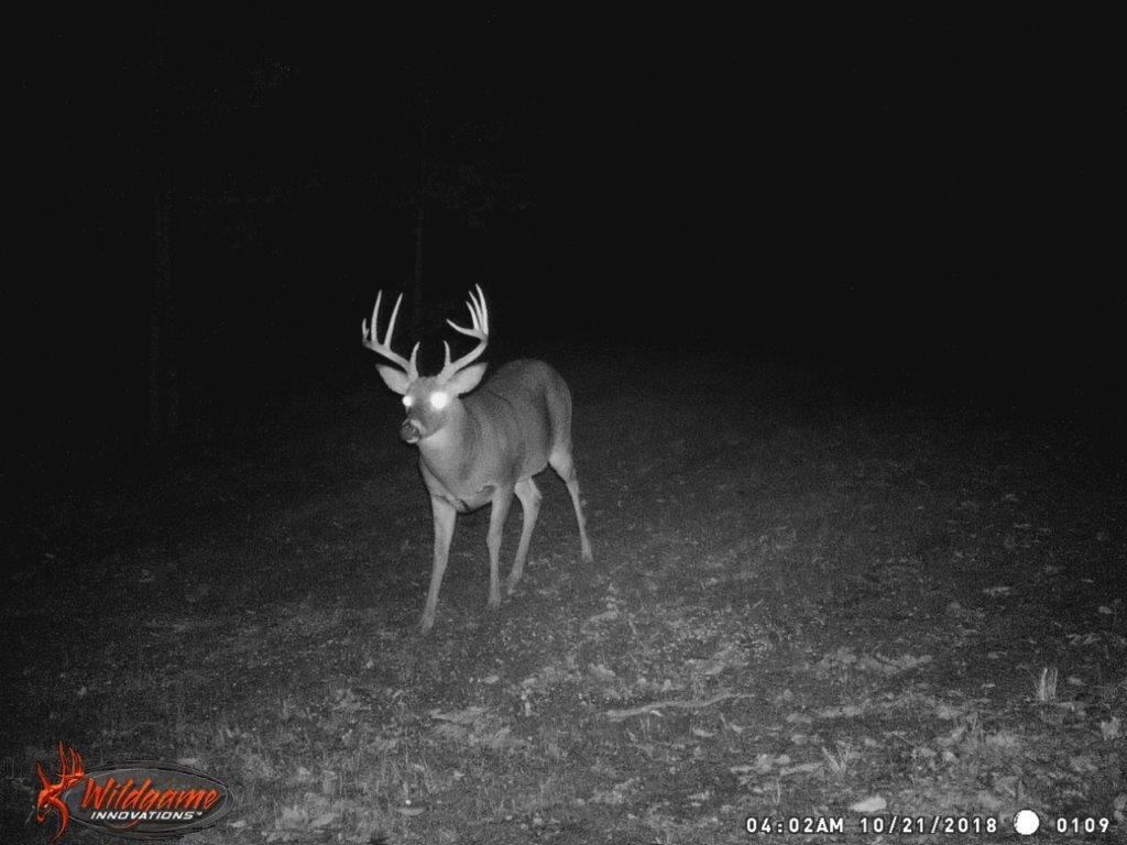 Image for 115 +/- AC・Eight Mile Lane・Greenville