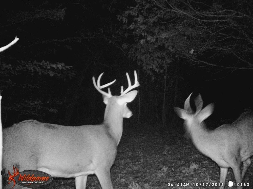 Image for 115 +/- AC・Eight Mile Lane・Greenville