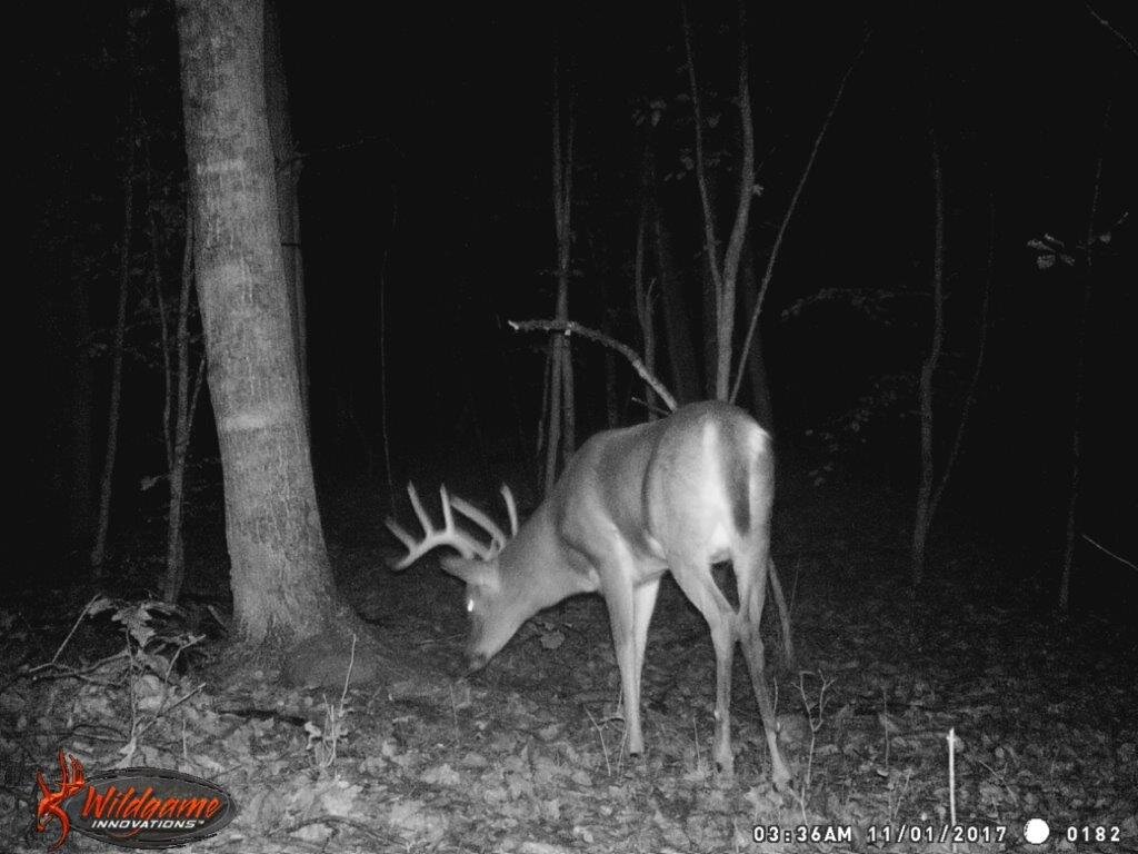 Image for 115 +/- AC・Eight Mile Lane・Greenville