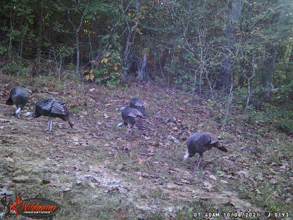 Image for 115 +/- AC・Eight Mile Lane・Greenville