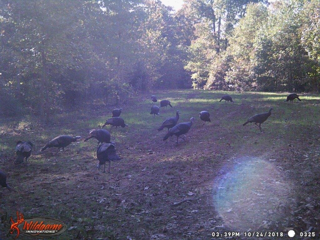 Image for 115 +/- AC・Eight Mile Lane・Greenville