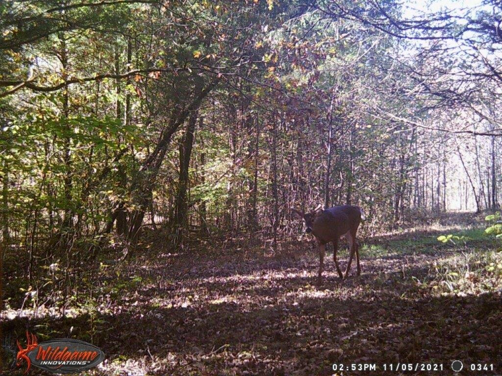 Image for 115 +/- AC・Eight Mile Lane・Greenville