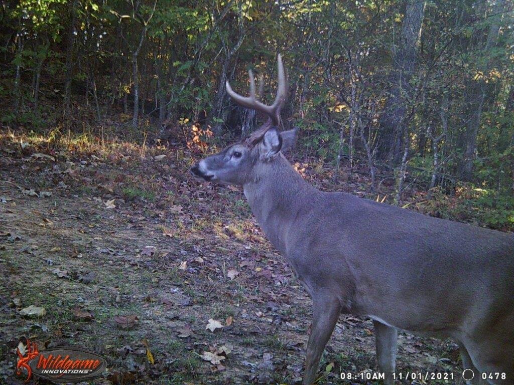 Image for 115 +/- AC・Eight Mile Lane・Greenville