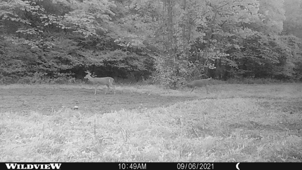 Image for 115 +/- AC・Eight Mile Lane・Greenville