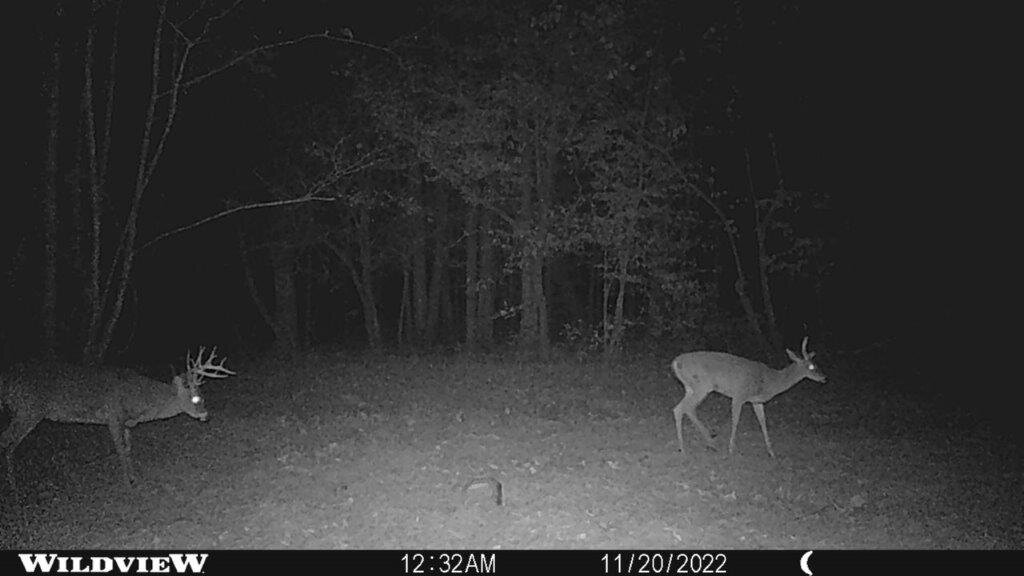 Image for 115 +/- AC・Eight Mile Lane・Greenville