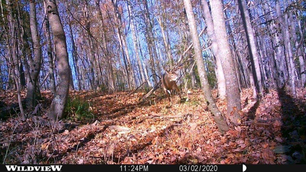 Image for 115 +/- AC・Eight Mile Lane・Greenville