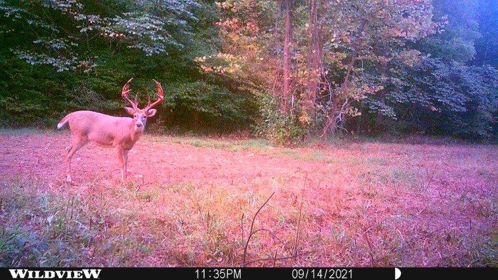 Image for 115 +/- AC・Eight Mile Lane・Greenville