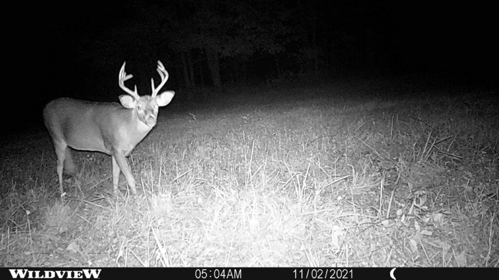 Image for 115 +/- AC・Eight Mile Lane・Greenville