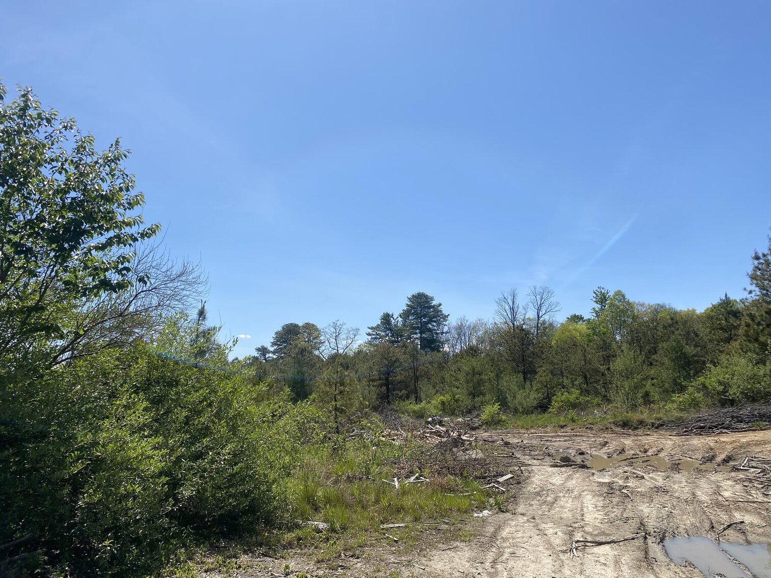 Image for SOLD $275,000 - 8 Acres of Prime Commercial Land