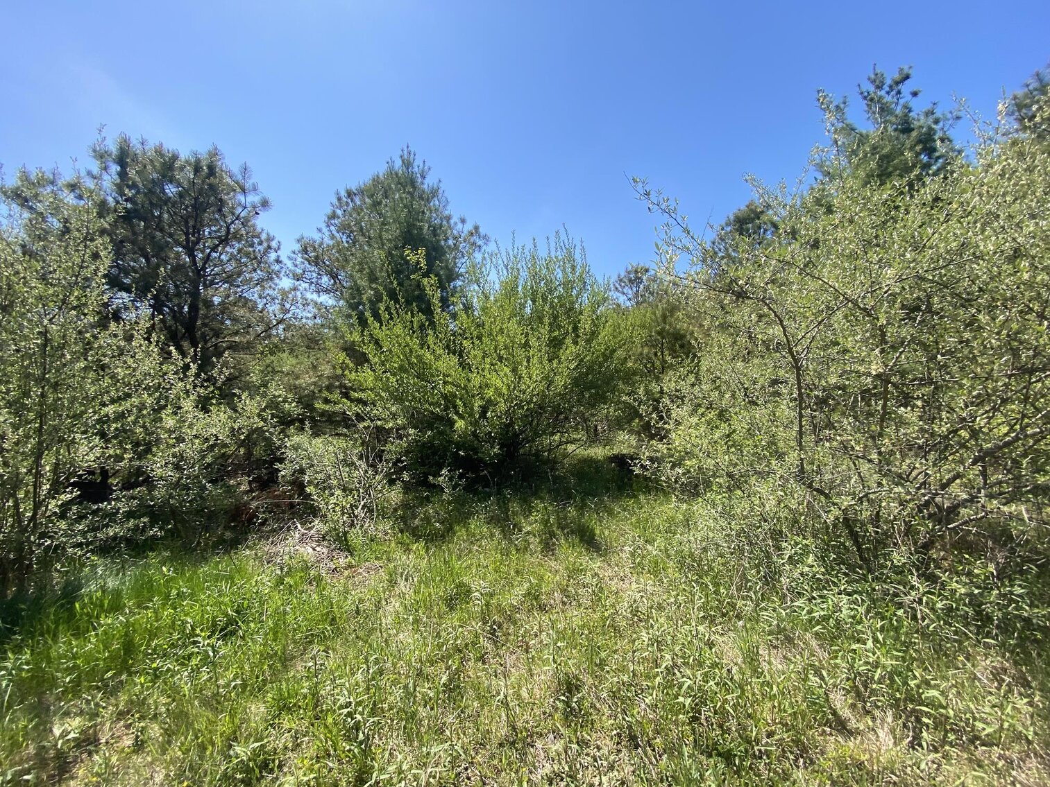 Image for SOLD $275,000 - 8 Acres of Prime Commercial Land