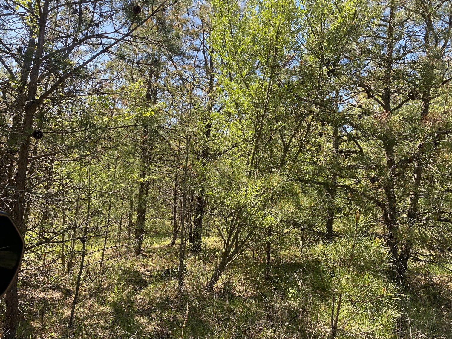 Image for SOLD $275,000 - 8 Acres of Prime Commercial Land