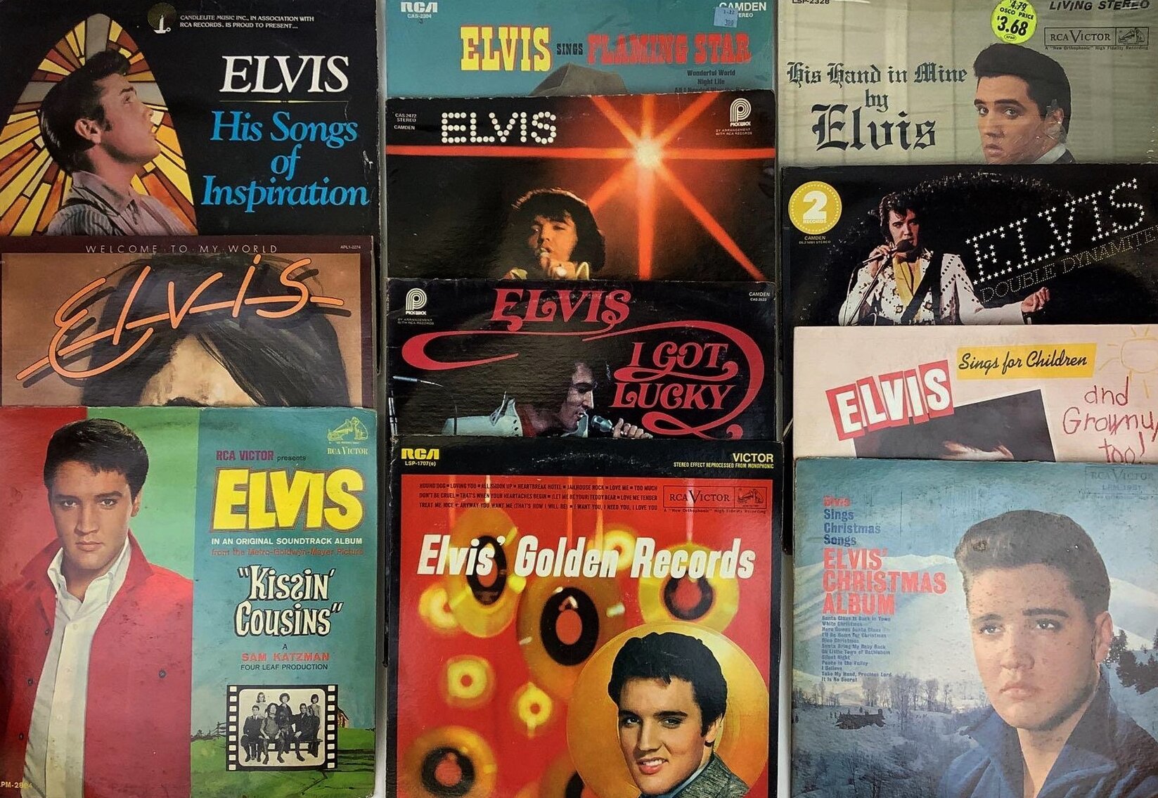 Image for Home & Decor | June 1, 2023 at 8:00 PM