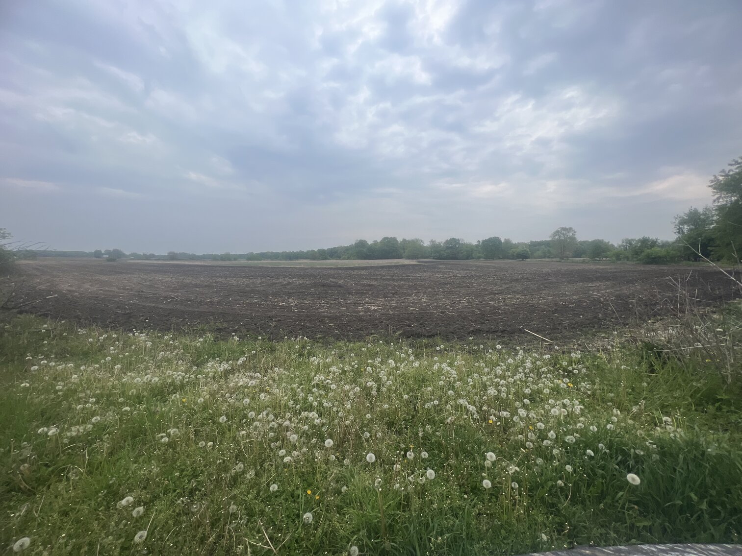 Image for MINIMUM BID AUCTION $399,000! 21273 Obsorn St.