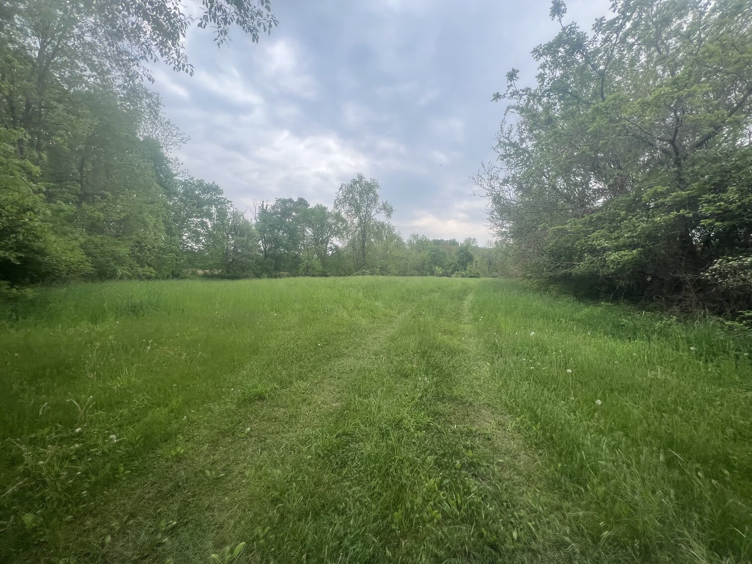 Image for MINIMUM BID AUCTION $399,000! 21273 Obsorn St.