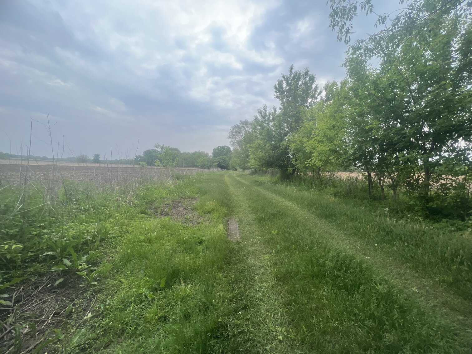 Image for MINIMUM BID AUCTION $399,000! 21273 Obsorn St.