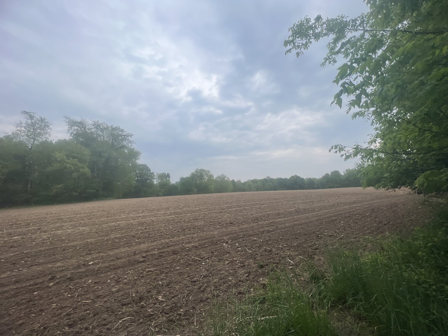 Image for MINIMUM BID AUCTION $399,000! 21273 Obsorn St.