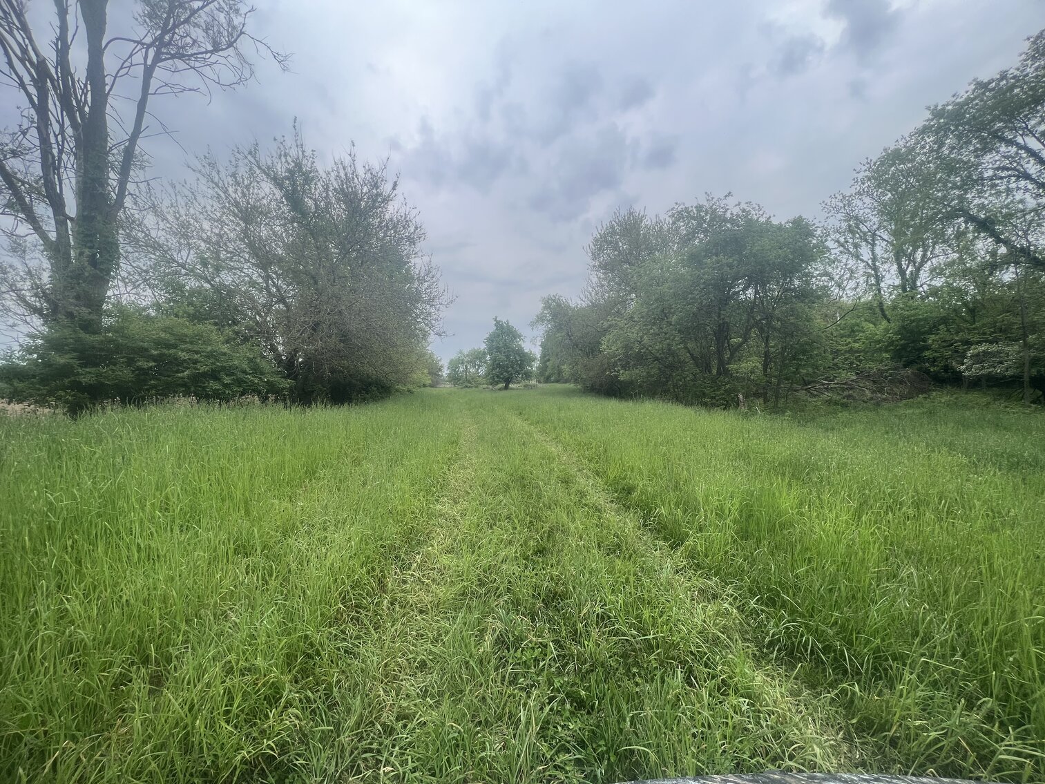 Image for MINIMUM BID AUCTION $399,000! 21273 Obsorn St.