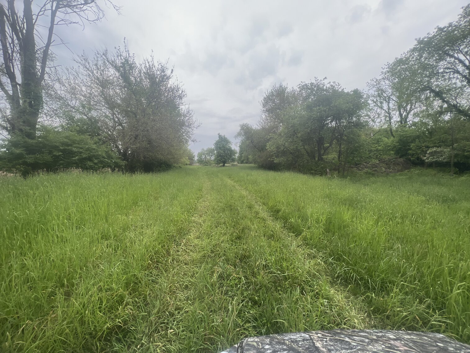 Image for MINIMUM BID AUCTION $399,000! 21273 Obsorn St.