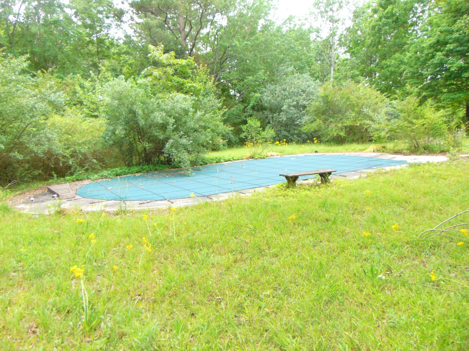 Image for Estate Auction 7 acres on Morris Road - Lewis County - House & 7.3 acres