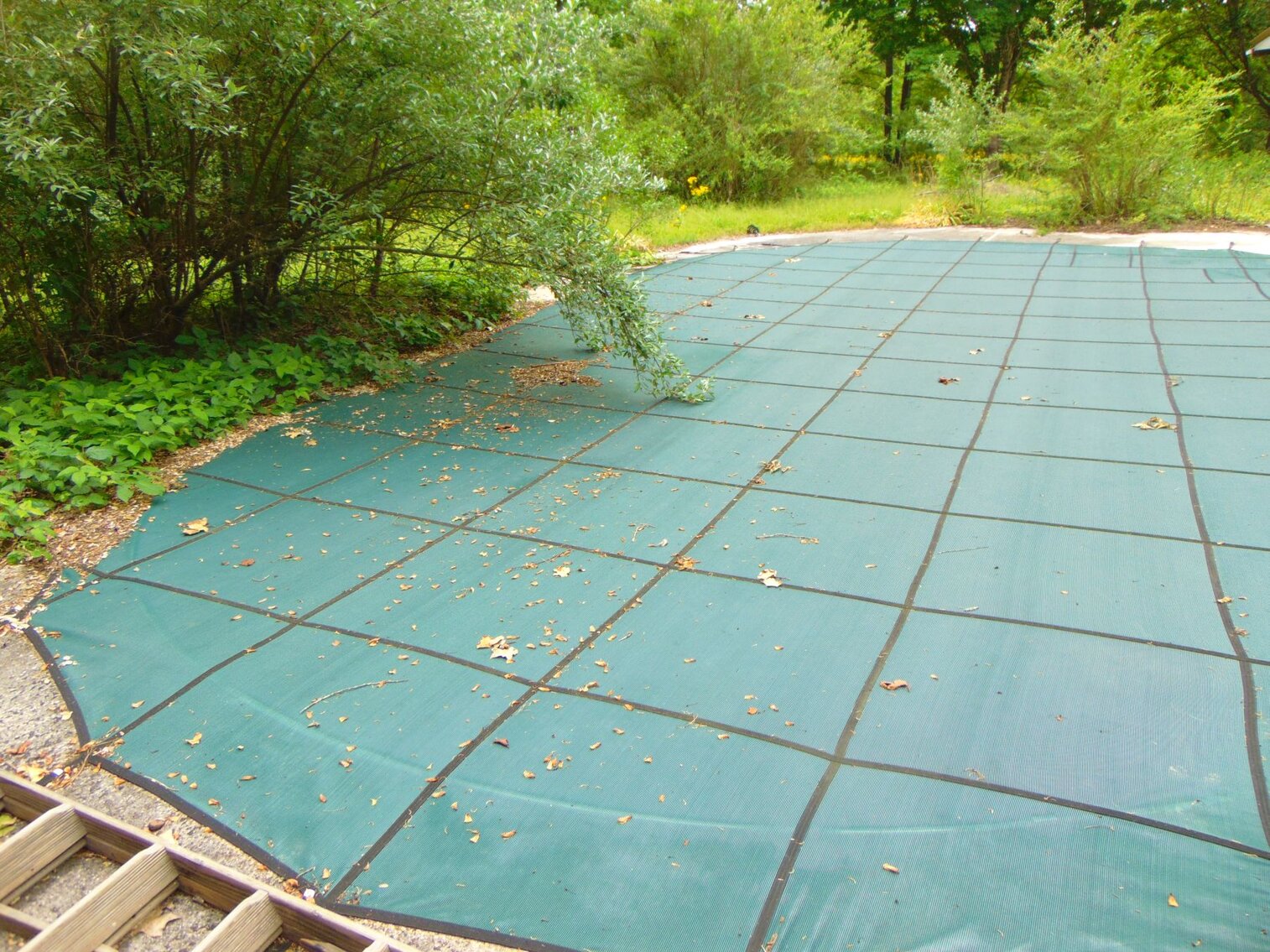 Image for Estate Auction 7 acres on Morris Road - Lewis County - House & 7.3 acres