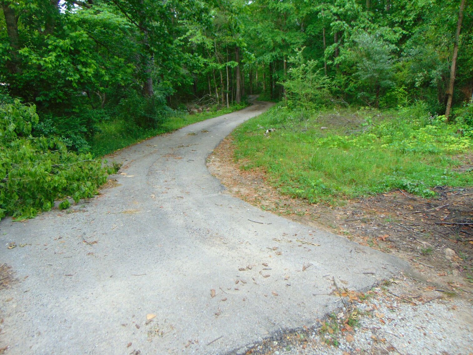 Image for Estate Auction 7 acres on Morris Road - Lewis County - House & 7.3 acres