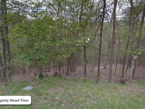 Image for 0.72 Acre in Quaint Page County