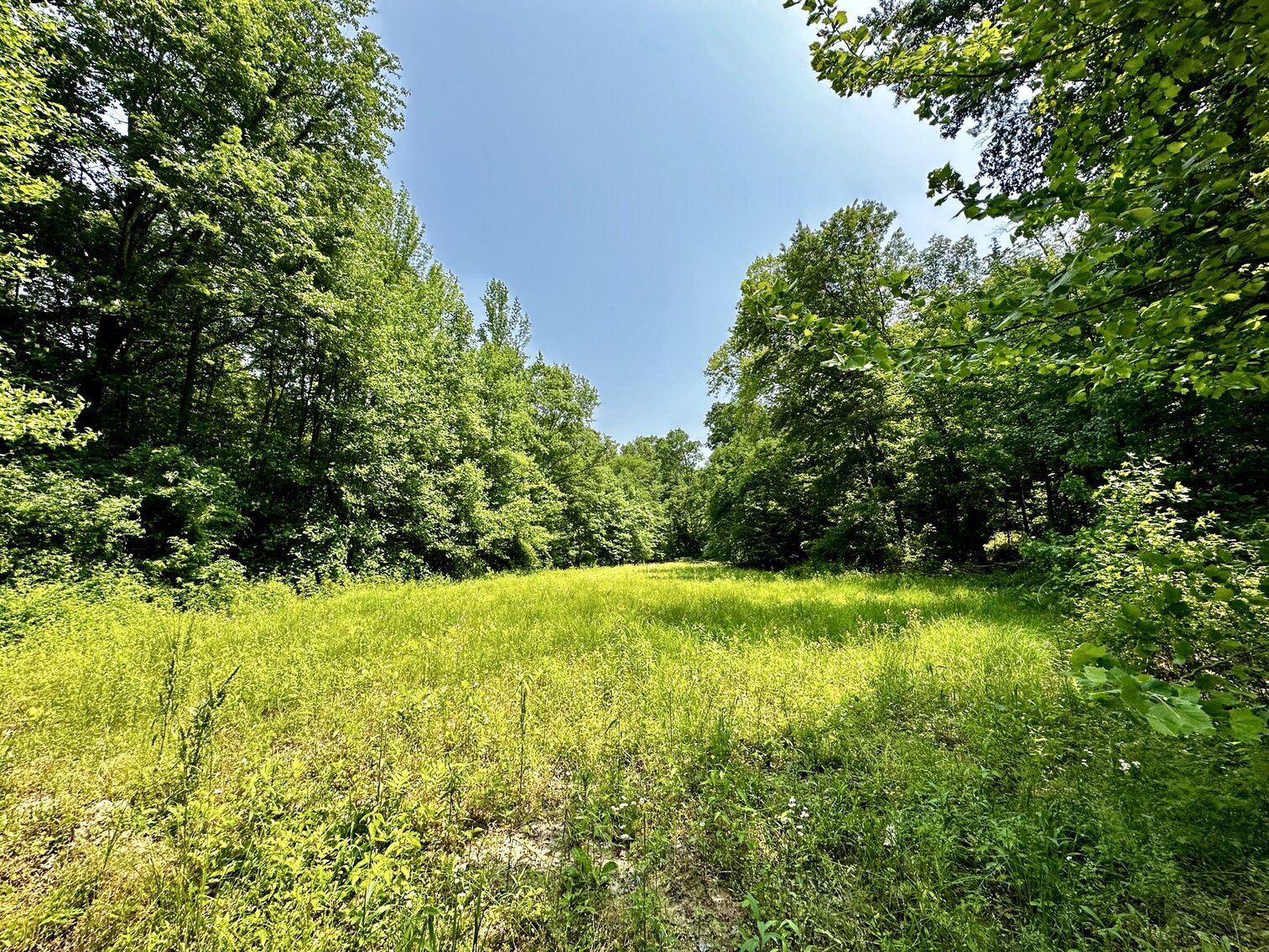 Image for 270 +/- ACRES・Ailene Lane・Belton
