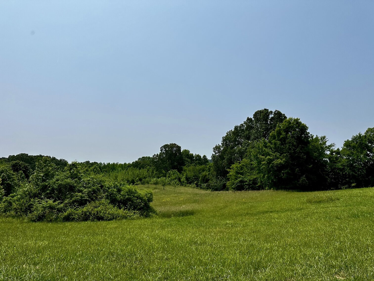 Image for 270 +/- ACRES・Ailene Lane・Belton