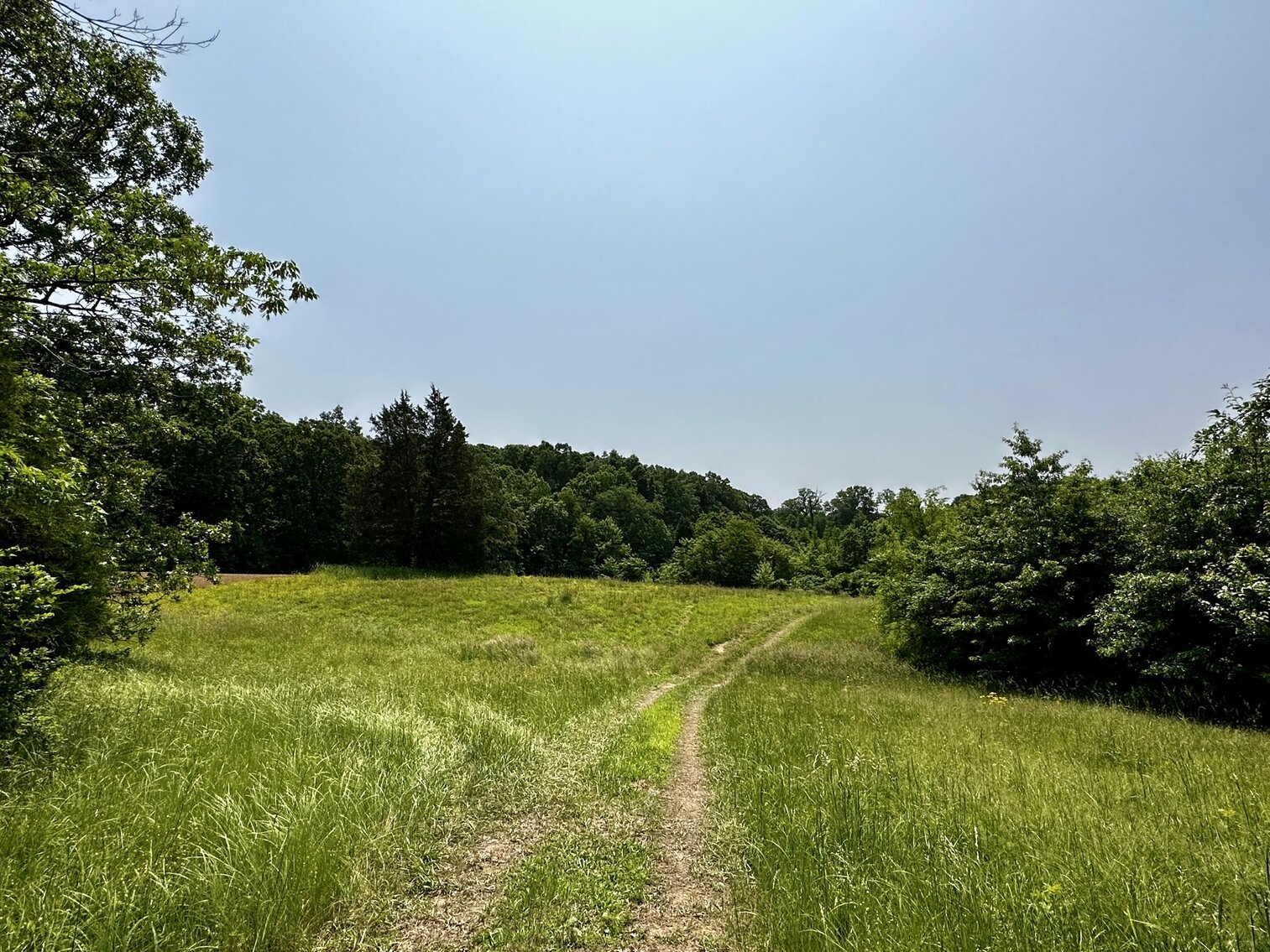 Image for 270 +/- ACRES・Ailene Lane・Belton