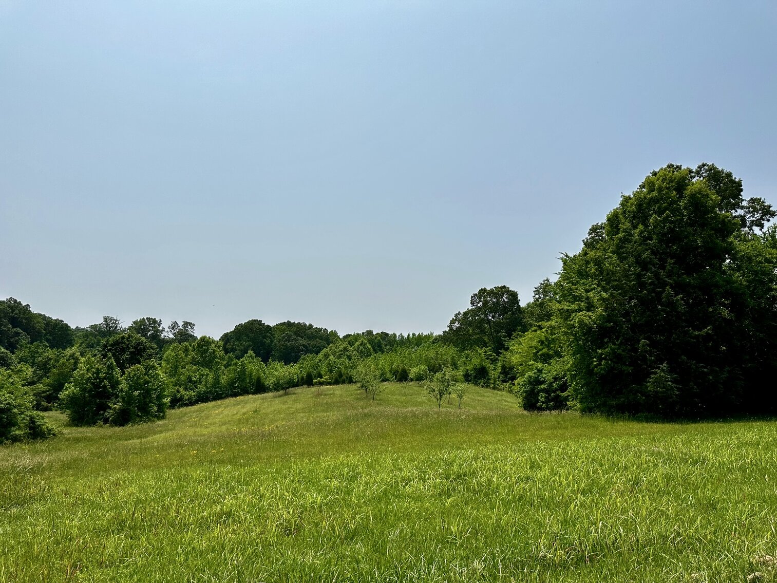 Image for 270 +/- ACRES・Ailene Lane・Belton