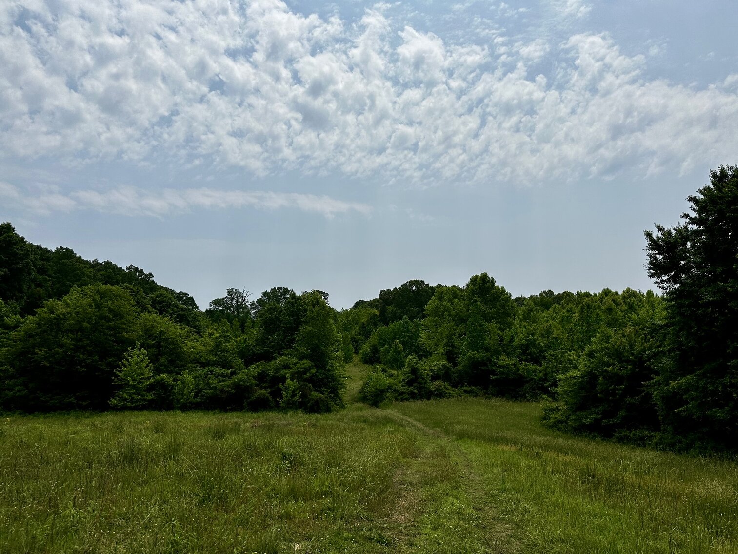 Image for 270 +/- ACRES・Ailene Lane・Belton