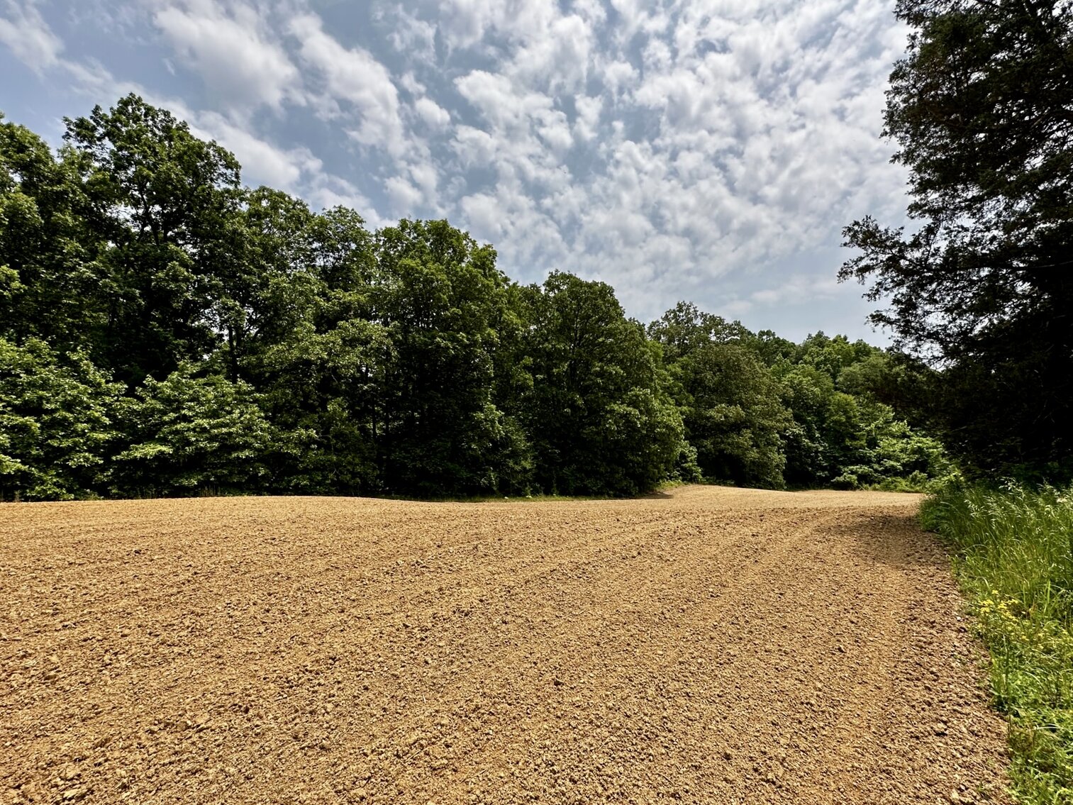 Image for 270 +/- ACRES・Ailene Lane・Belton