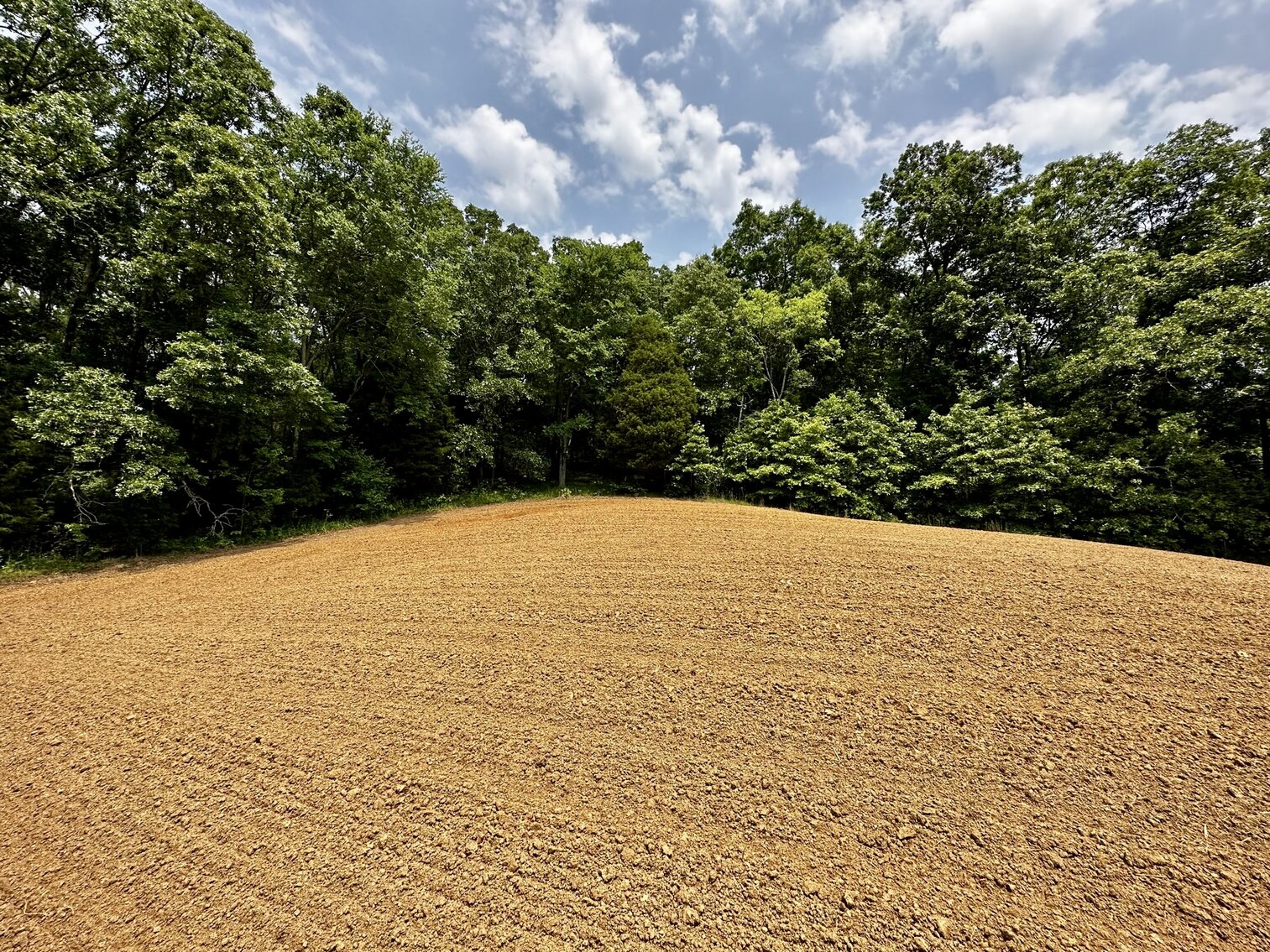 Image for 270 +/- ACRES・Ailene Lane・Belton