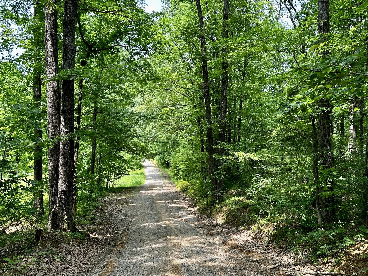 Image for 270 +/- ACRES・Ailene Lane・Belton