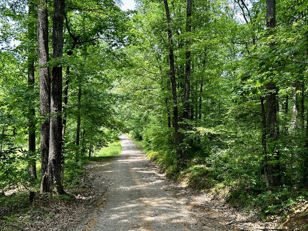 Image for 270 +/- ACRES・Ailene Lane・Belton