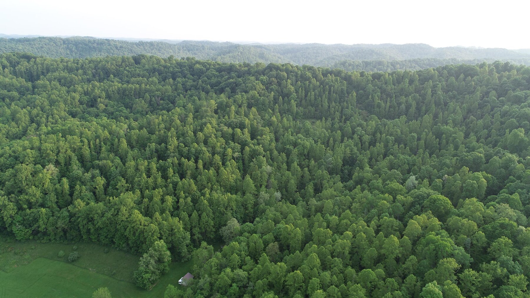 Image for SOLD $165,000 - Two Homes on 42 Acres