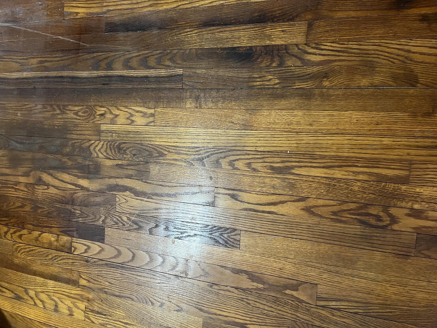 Image for SOLD $165,000 - Two Homes on 42 Acres