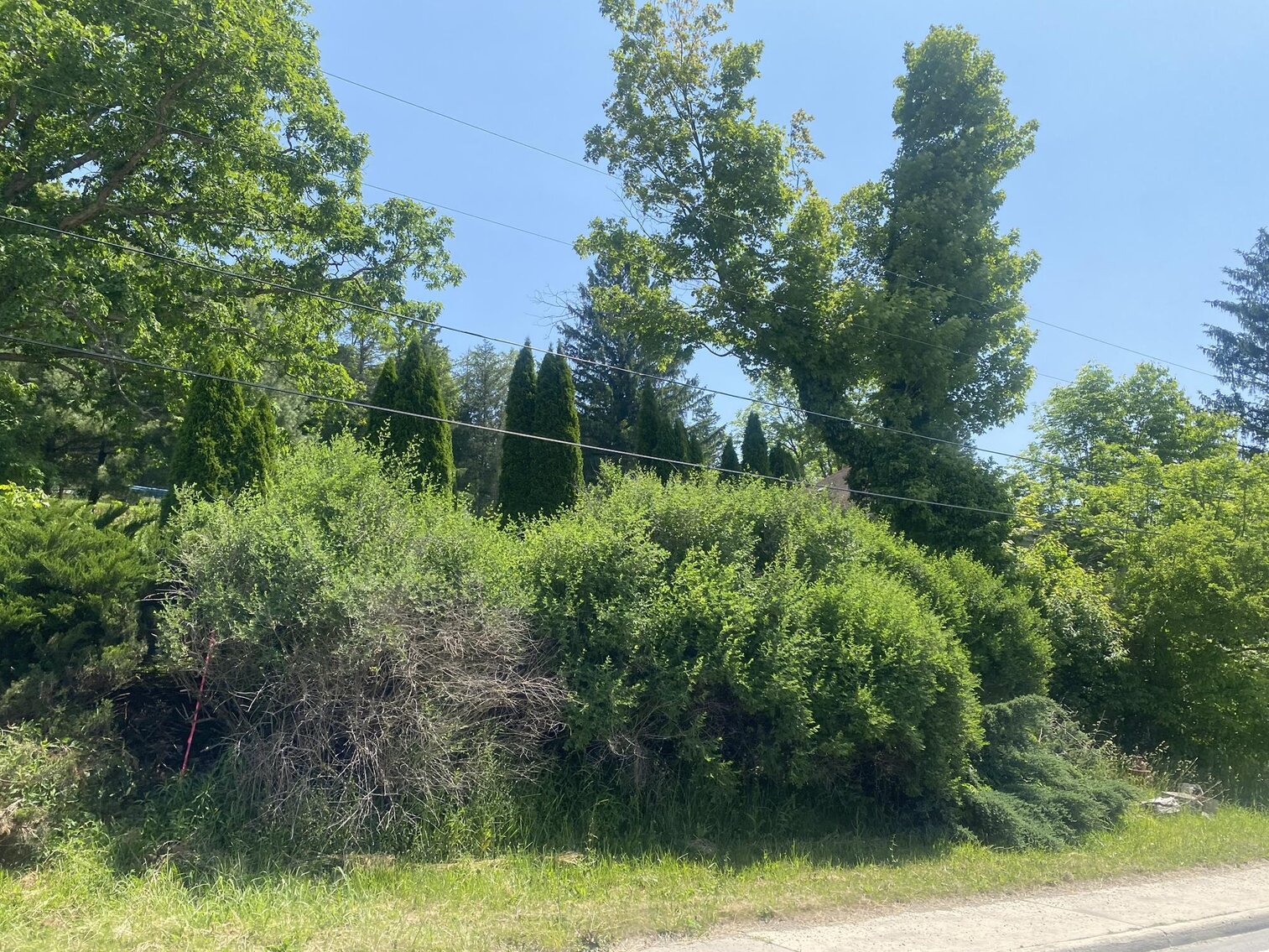 Image for SOLD $33,000 - 2 Bedroom Home in Belington