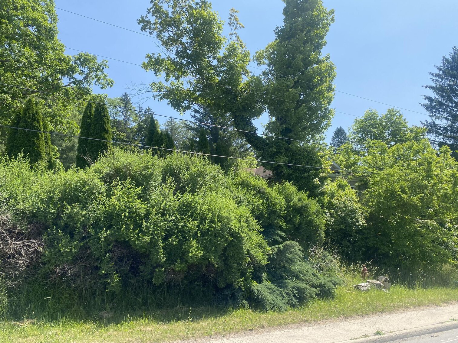 Image for SOLD $33,000 - 2 Bedroom Home in Belington