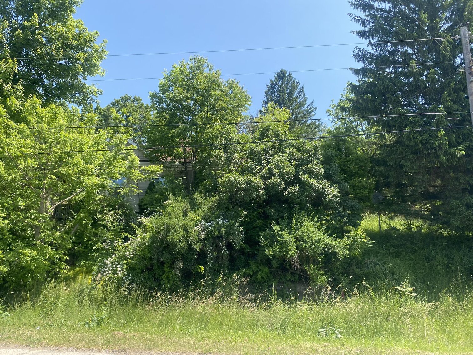 Image for SOLD $33,000 - 2 Bedroom Home in Belington