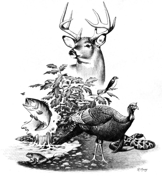 Image for 1969 Pontiac Firebird, 1982 Jeep Scrambler, Camping, Cycling, Sportsman's Auction