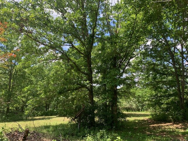 Image for Estate Auction 7 acres on Morris Road - Lewis County - House & 7.3 acres