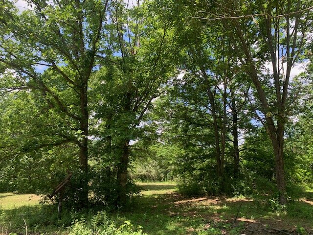 Image for Estate Auction 7 acres on Morris Road - Lewis County - House & 7.3 acres